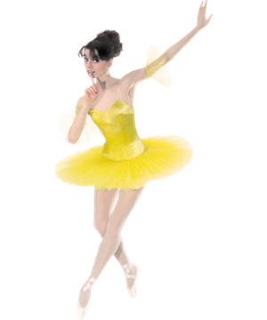 53 Tutu without decoration